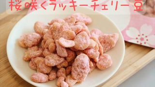 らら 秘伝豆4.5えりも0.9 塩豆 | 郷土菓子・その他,チェリー豆 | 長崎空港オンラインショップ
