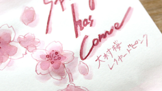 オンラインストア】春がきた！大村桜レイヤードピンク | 石丸文
